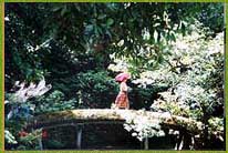 woman in pink crossing a wooden bridge